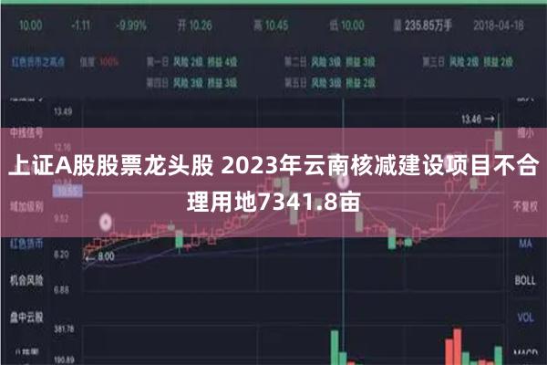 上证A股股票龙头股 2023年云南核减建设项目不合理用地7341.8亩