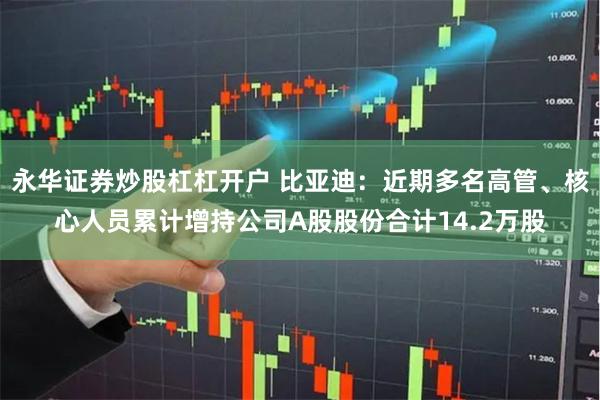 永华证券炒股杠杠开户 比亚迪：近期多名高管、核心人员累计增持公司A股股份合计14.2万股